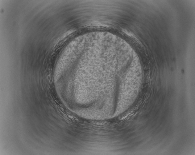 X0000066530870200604071614