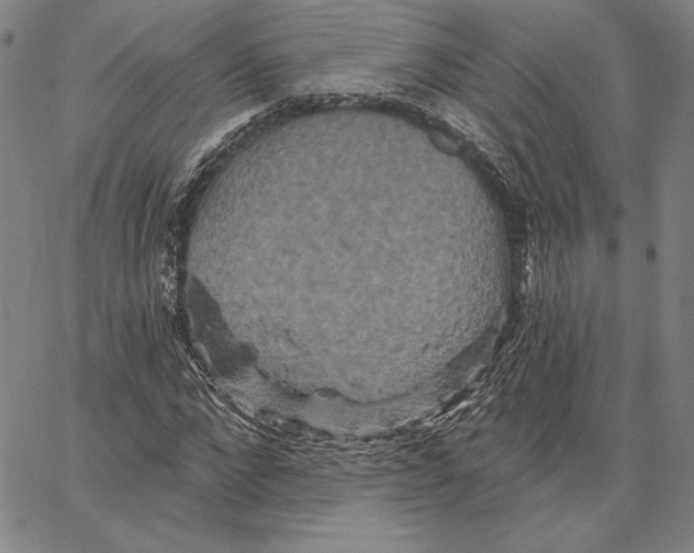 X0000066530872200604071614