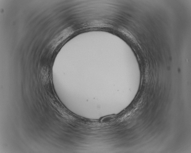 X0000066530873200604071614