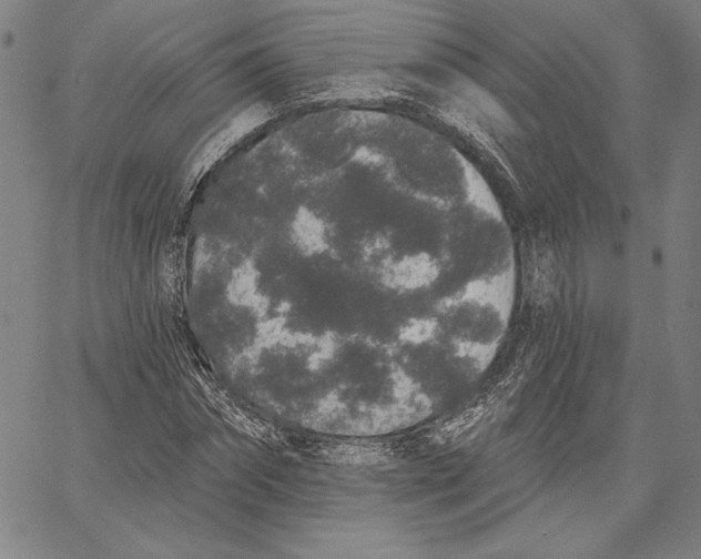 X0000066530874200604071614