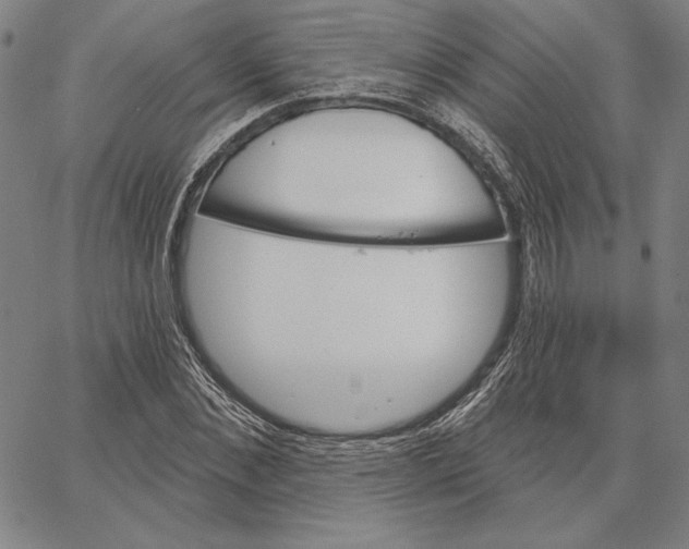 X0000066530876200604071614