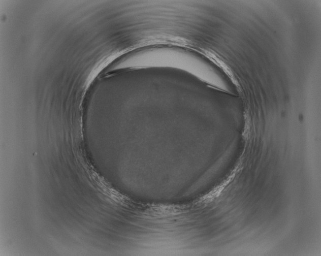 X0000066530877200604071614