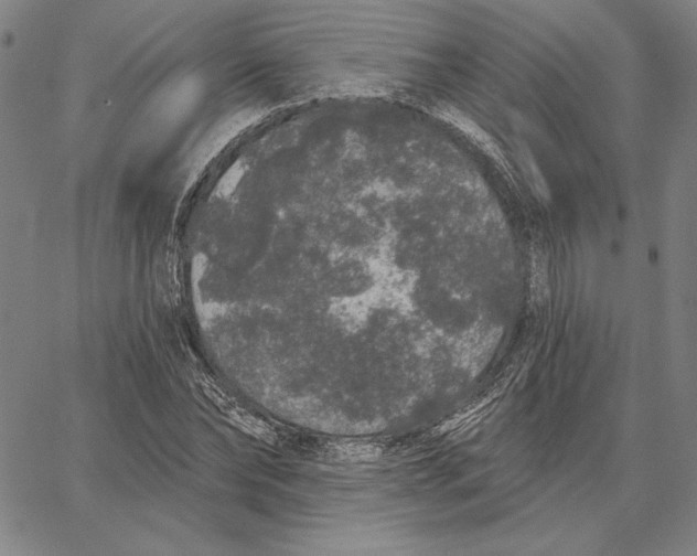 X0000066530878200604071614