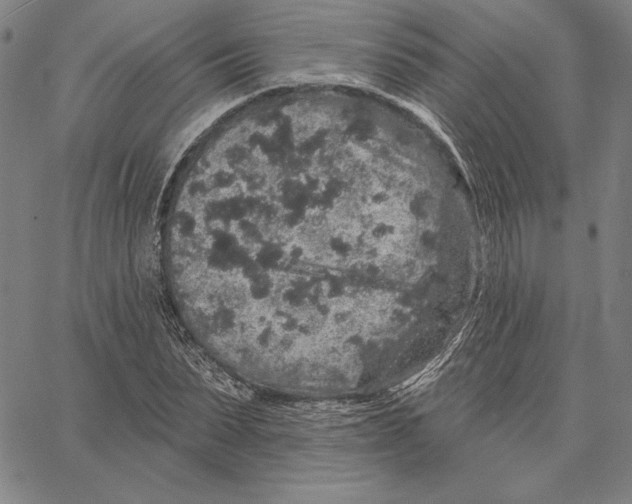 X0000066530879200604071614