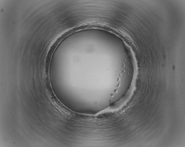 X0000066530880200604071614