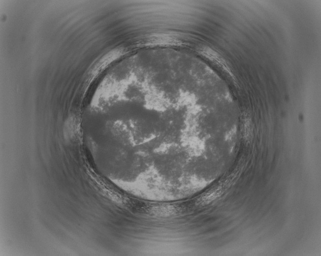 X0000066530882200604071614