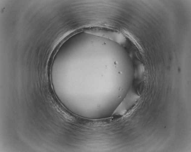 X0000066530884200604071614