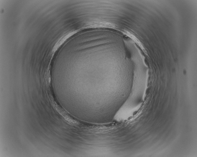 X0000066530885200604071614