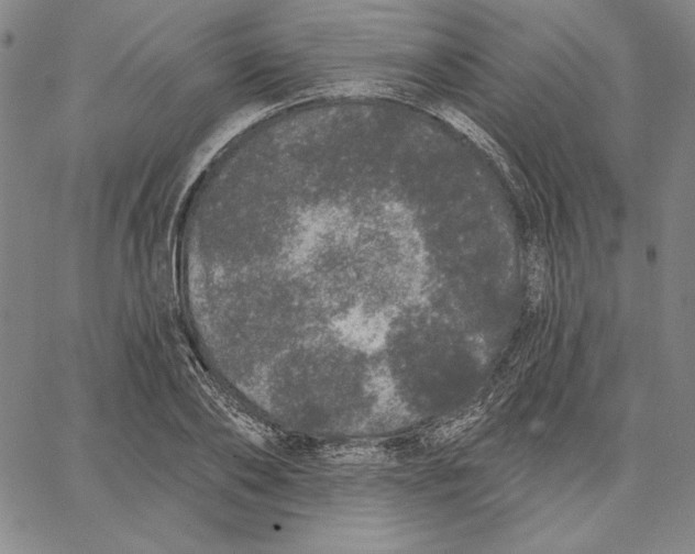 X0000066530886200604071614