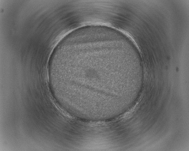 X0000066530887200604071614