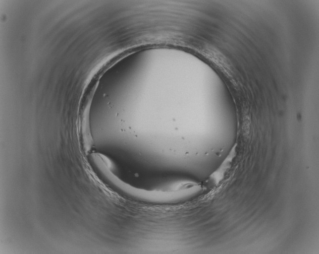 X0000066530888200604071614