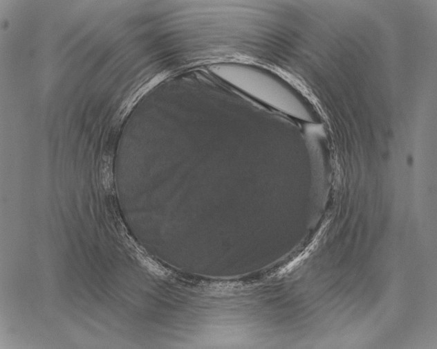 X0000066530889200604071614