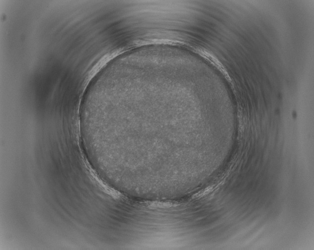 X0000066530890200604071614