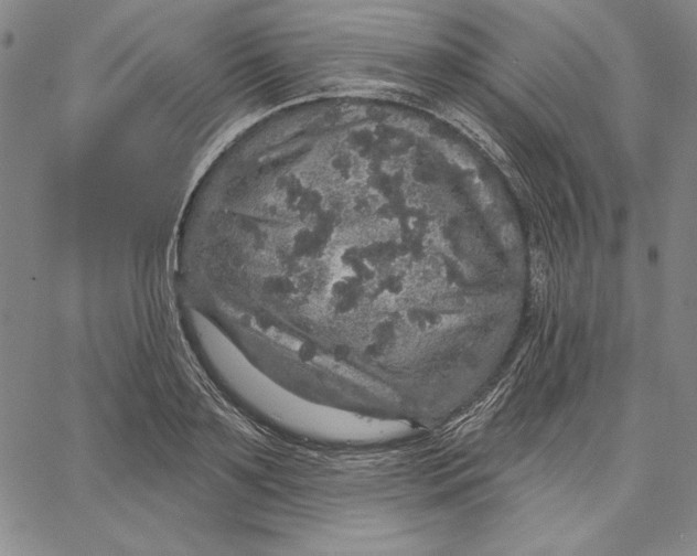 X0000066530891200604071614