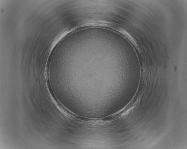 X0000066530893200604071614