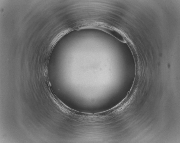 X0000066530897200604071614