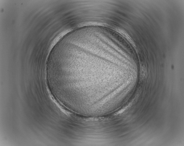 X0000066530898200604071614