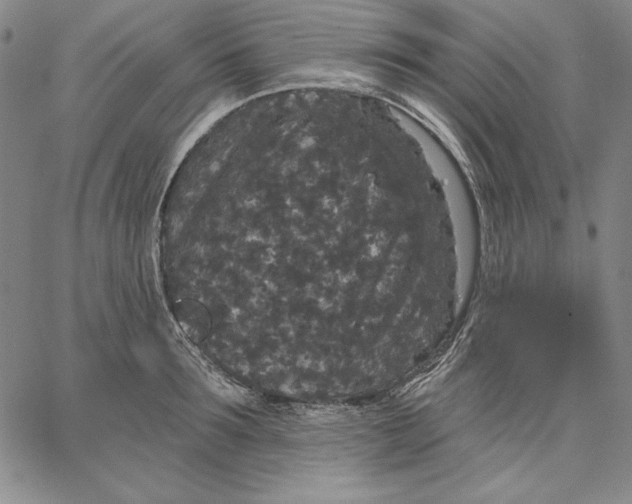 X0000066530899200604071614