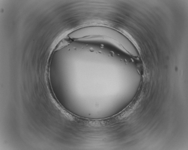 X0000066530901200604071614