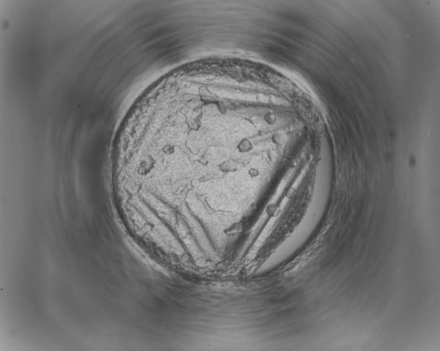 X0000066530903200604071614