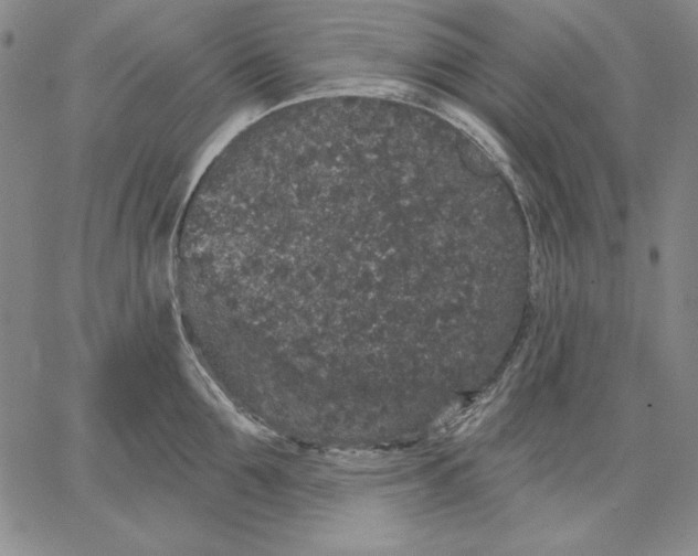 X0000066530907200604071614