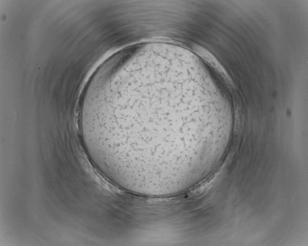 X0000066530908200604071614