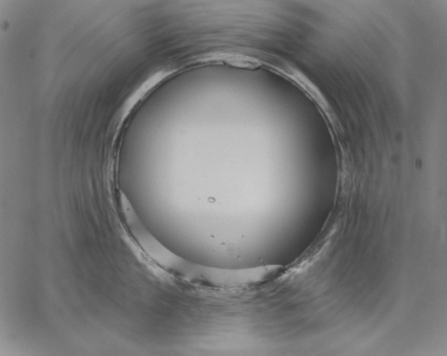 X0000066530909200604071614