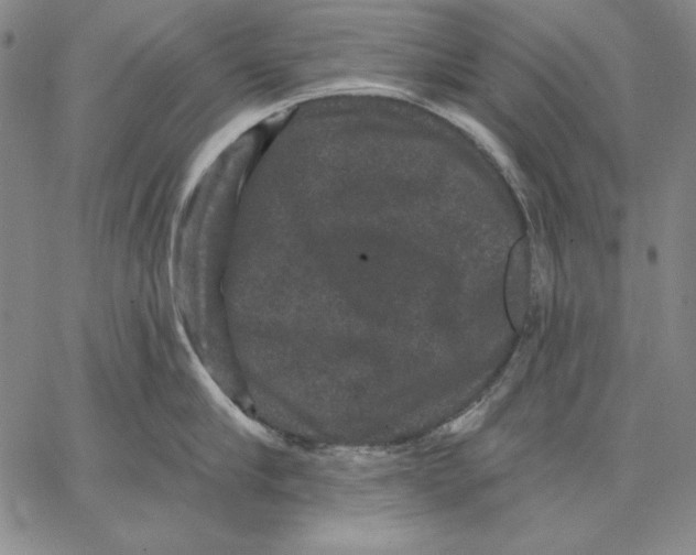 X0000066530910200604071614