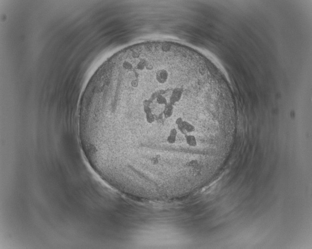 X0000066530911200604071614