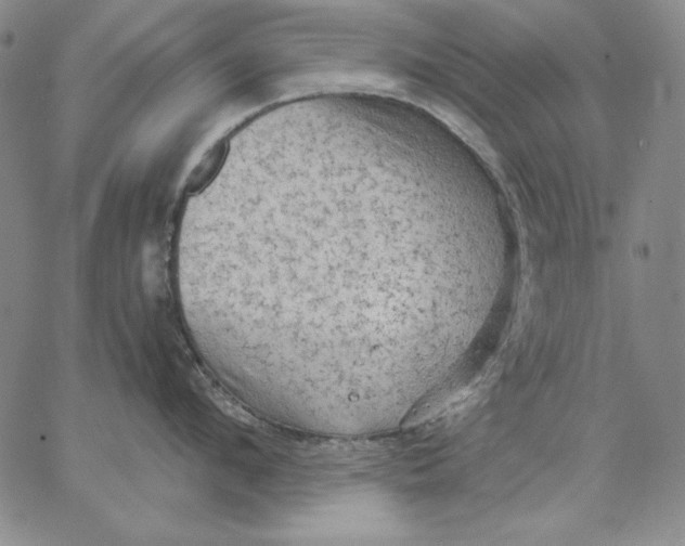 X0000066530912200604071614