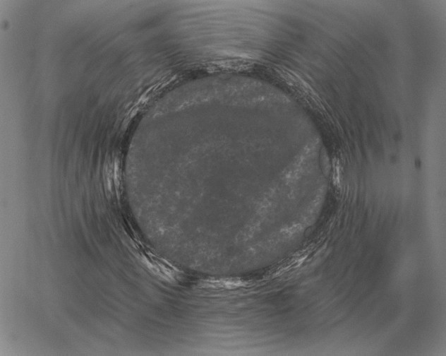 X0000066530915200604071613