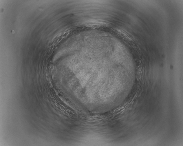 X0000066530917200604071613