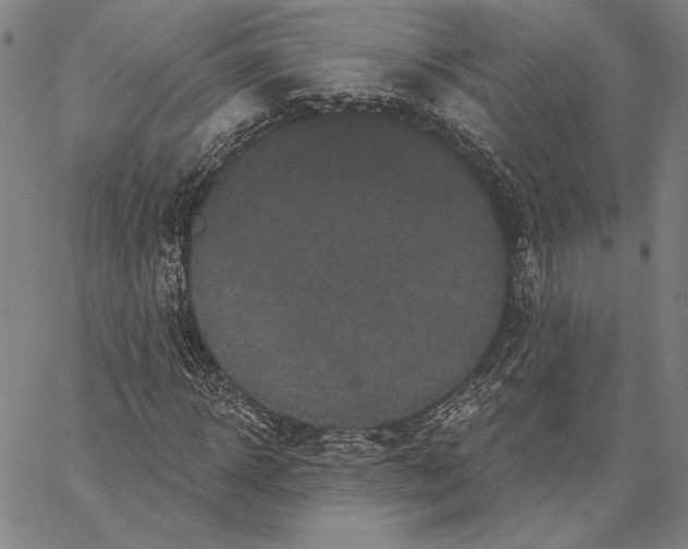 X0000066530918200604071613