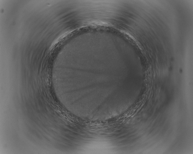 X0000066530919200604071613