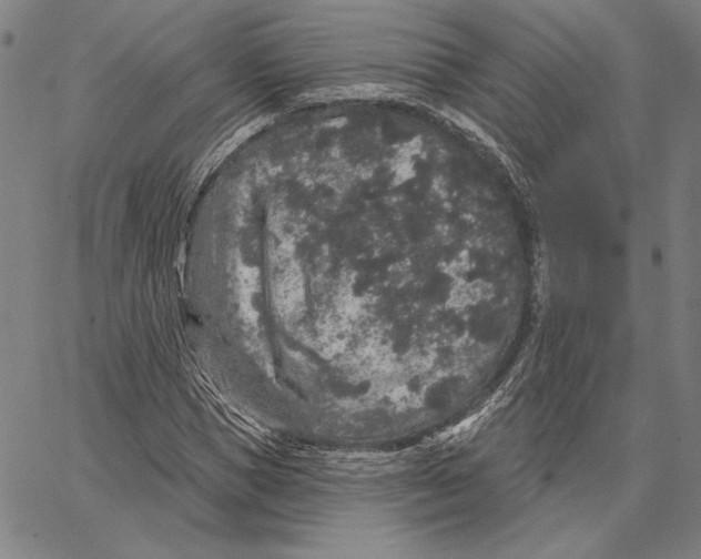 X0000066530921200604071613