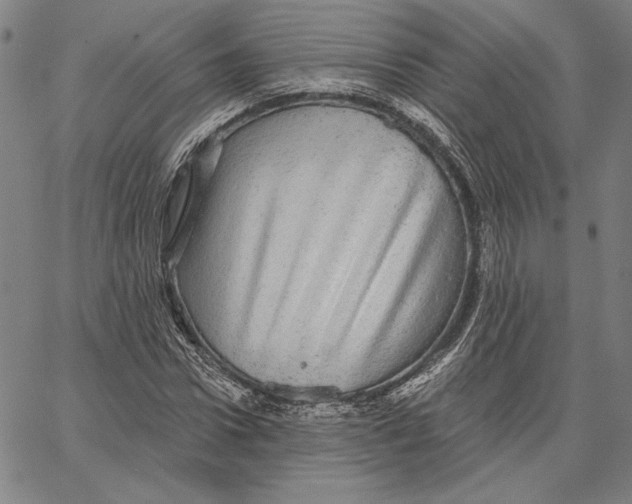 X0000066530922200604071613