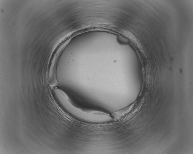 X0000066530924200604071613