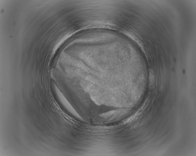 X0000066530925200604071613