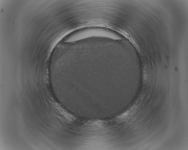 X0000066530926200604071613