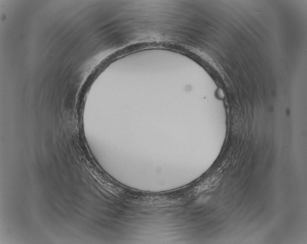 X0000066530927200604071613