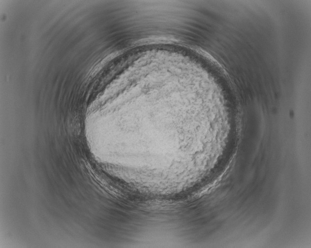 X0000066530929200604071613