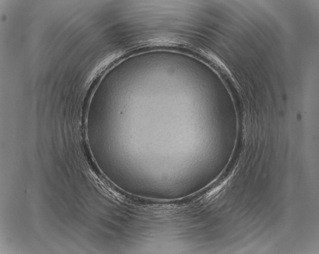 X0000066530930200604071613