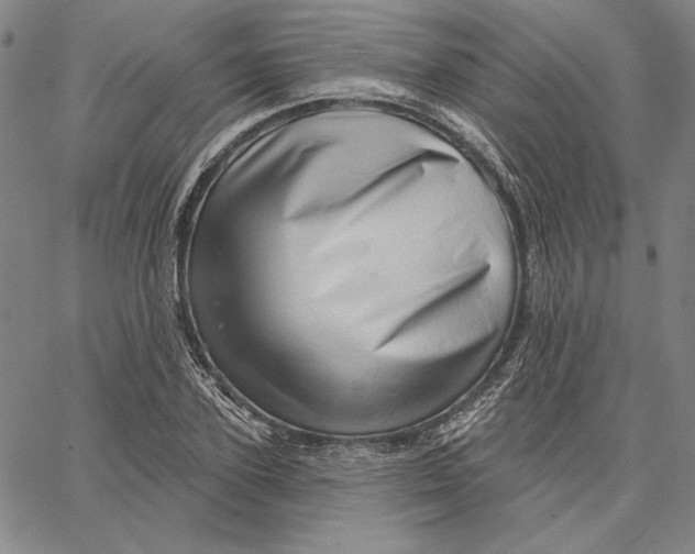 X0000066530931200604071613