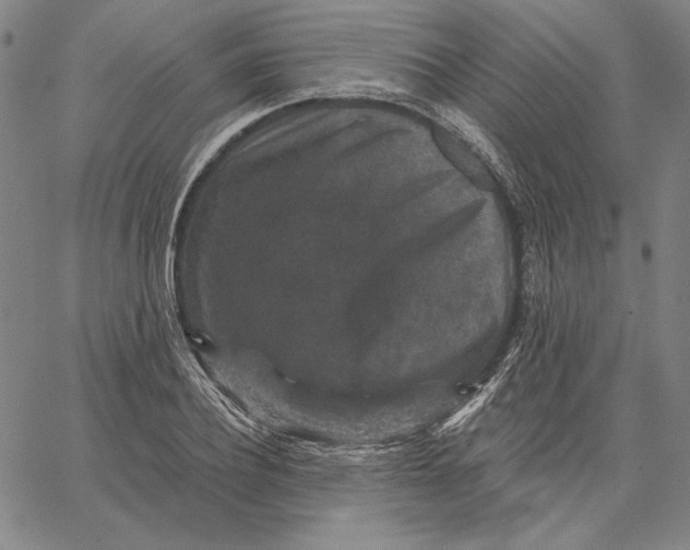 X0000066530932200604071613