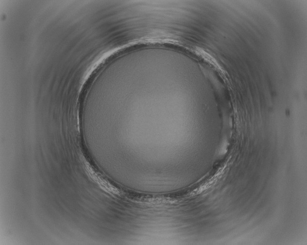 X0000066530934200604071613