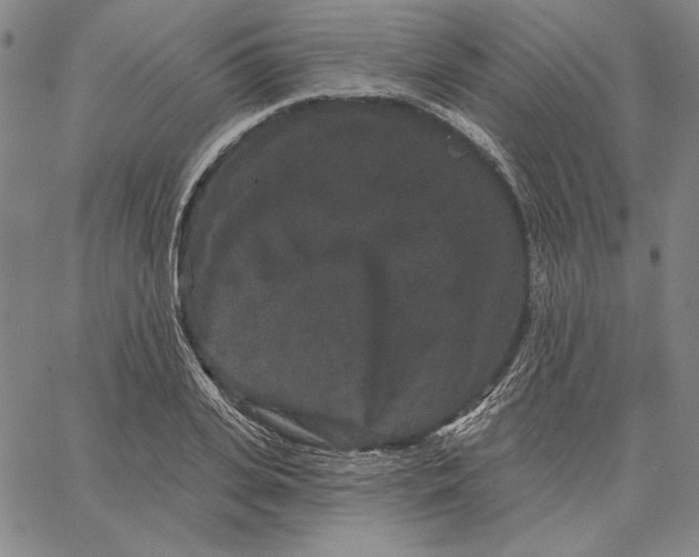 X0000066530935200604071613