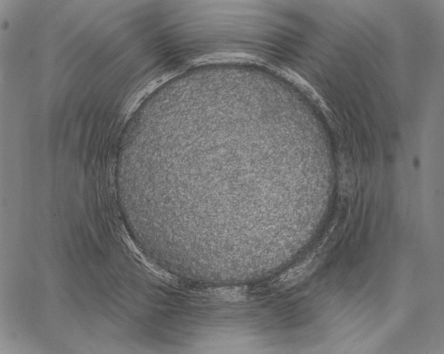 X0000066530937200604071613