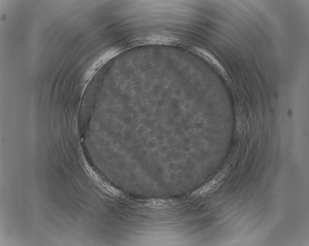 X0000066530938200604071613