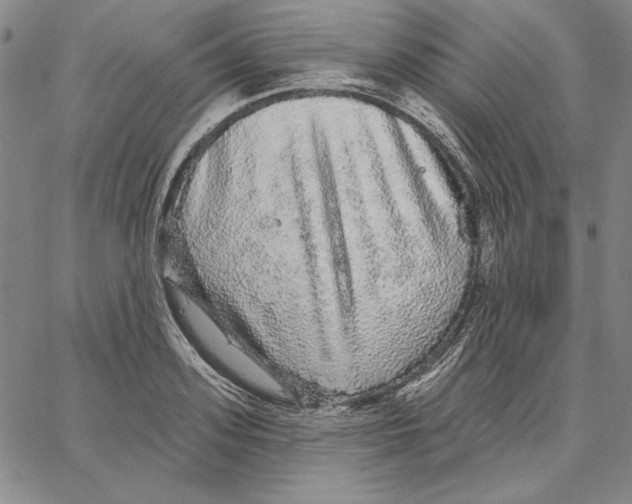 X0000066530939200604071613