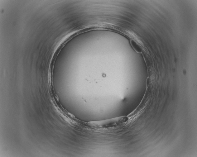 X0000066530940200604071613